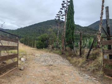 Propiedad en VENTA con Cabaña, Los Lirios Arteaga Coah