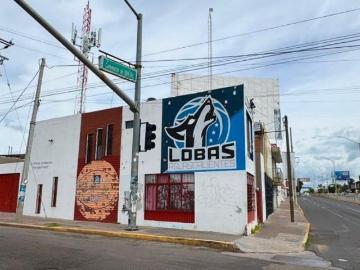 PROPIEDAD EN VENTA CON LOCAL COMERCIAL EN ESQUINA ESTRATEGICA EN AGUASCALIENTES