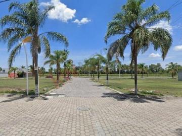 Propiedad en VENTA Calle Profesor Fulgencio Vargas Poniente 350, Ejido del Valle, 38474 Jaral del