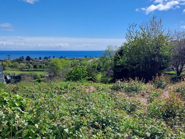 Propiedad en venta en Asturias, Colunga