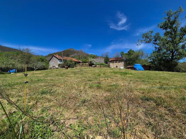 Propiedad en venta en Asturias, Cangas de Onís