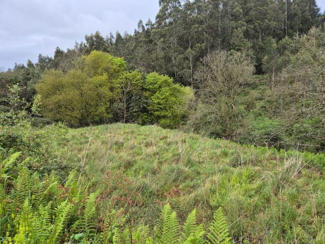 Propiedad en venta en Asturias, Carreño