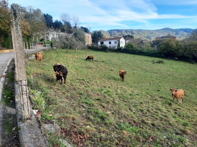 Propiedad en venta en Asturias, Gijón