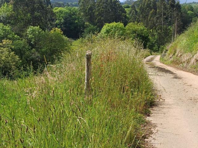 Propiedad en venta en Asturias, Illas