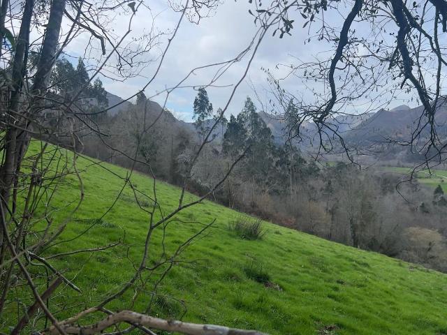 Propiedad en venta en Asturias, Llanes