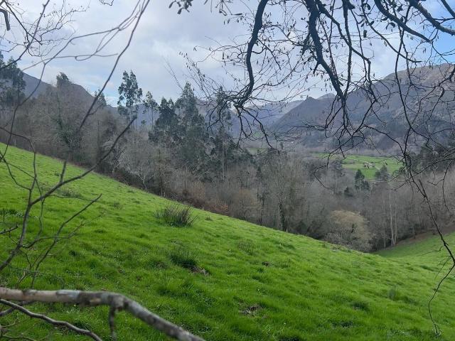 Propiedad en venta en Asturias, Llanes