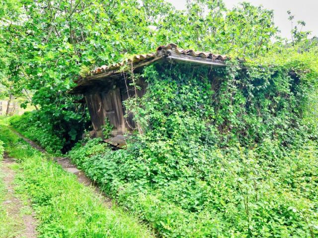 Propiedad en venta en Asturias, Mieres del Camino