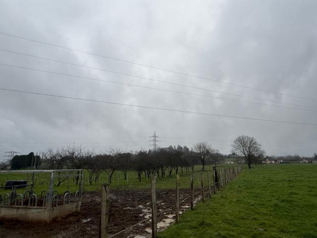 Propiedad en venta en Asturias, Nava