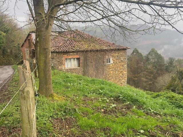 Propiedad en venta en Asturias, Tineo