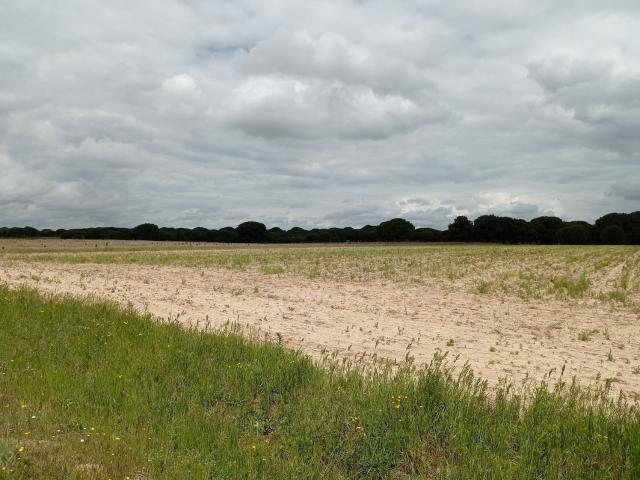 Propiedad en venta en Valladolid, Matapozuelos