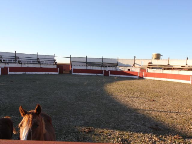 Propiedad en venta en Valladolid, Nueva Villa de las Torres