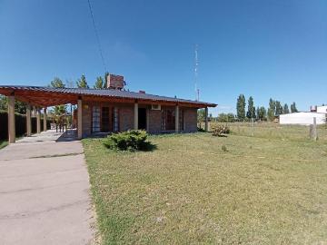 Propiedad en venta San Rafael Mendoza