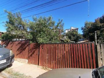 Propiedad Forestal Alto Viña del Mar
