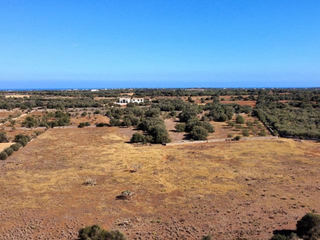 Propiedad Mallorca En Venta HA2412738