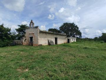 Rancho en San Antonio Camara, Temax, Yucatán