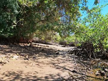 Propiedades en Islas en San Félix | venta | Isla de 10 hectáreas en el golfo de Chiriquí: USD 998800.00