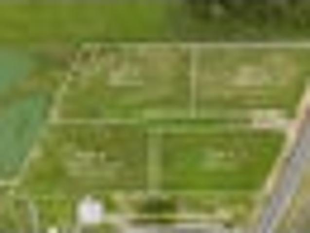 Proposed Subdivision, Four Titles