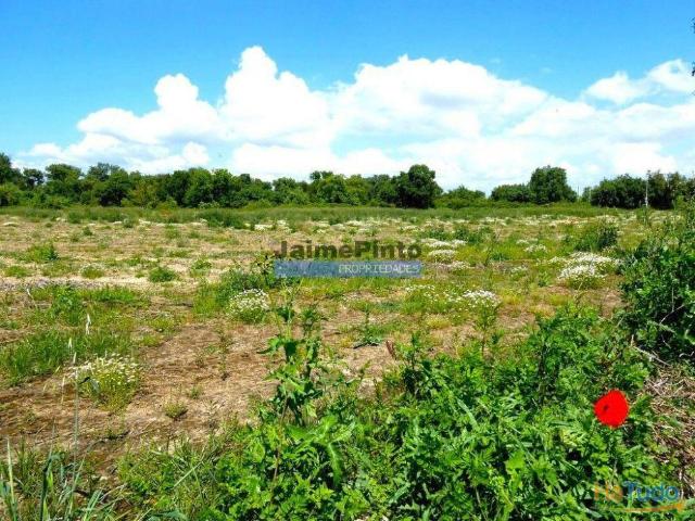 Propriedade 70HA, Santarém, Salvaterra de Magos. Portugal, Santarém, Muge. | 26064062413