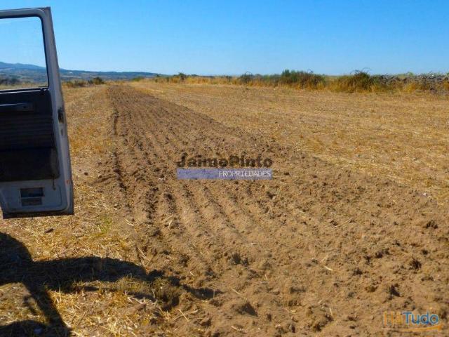 Propriedade 120.000m2 de terra excelente. Portugal, Figueira Castelo Rodrigo. | 26083613598