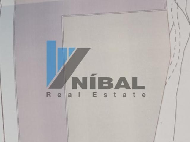 Propriedade única com elevado potencial construtivo em Silvalde Espinho