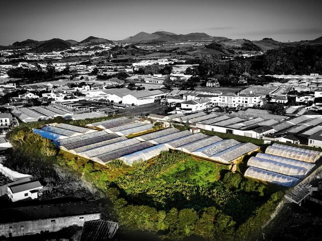 Propriedade Única com Estufas de Ananases e Potencial Urbano — Abelheira de Baixo, São Roque Açores
