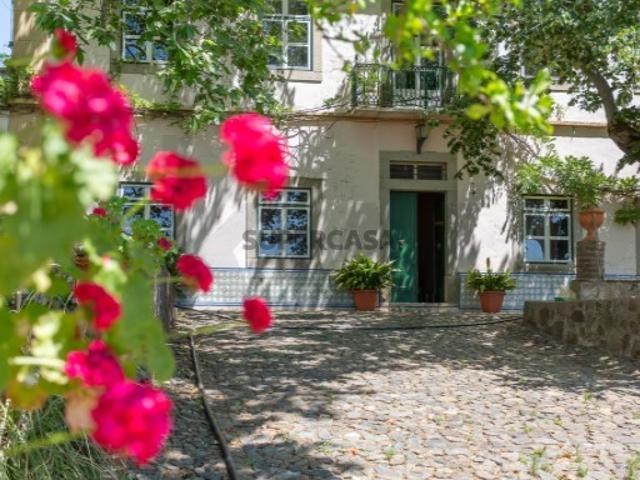 Propriedade única no Alentejo com casa senhorial, 5 moradias e 3,3ha de terreno