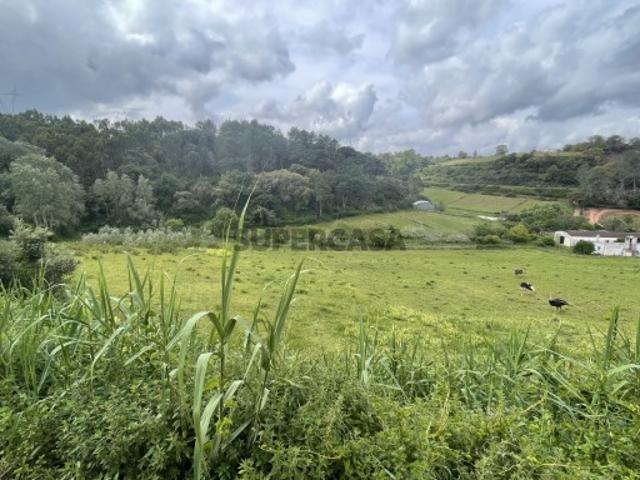 Propriedade vedada de cerca de 10 hectares