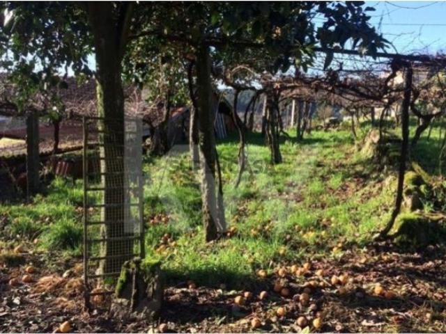 Propriedade á venda em Leitões Guimarães