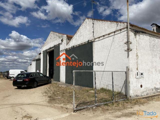 Propriedade Agrícola em Vimieiro | 26083251572