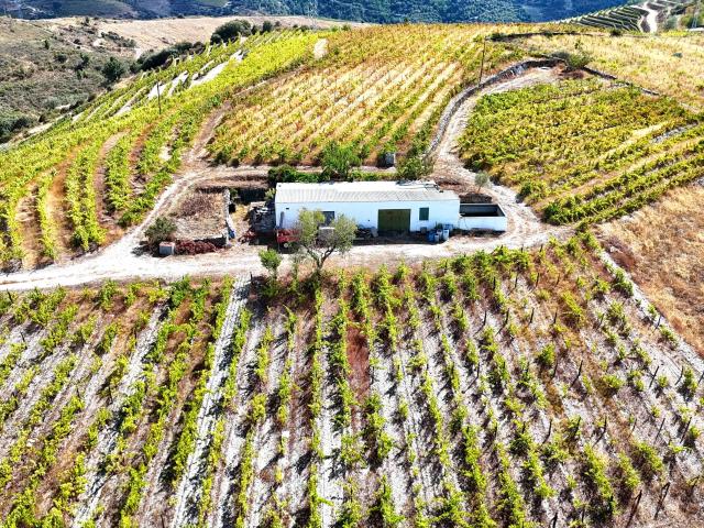 Propriedade Agrícola no Coração do Douro com Vinhas de Vinho do Porto, Olival, Amendoeiras e Sobreiros