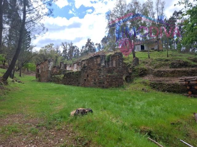 Propriedade com 3 hectares