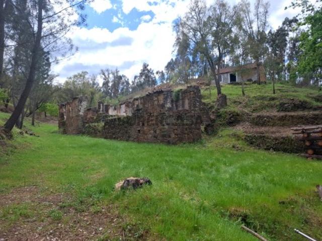 Propriedade com 3 hectares