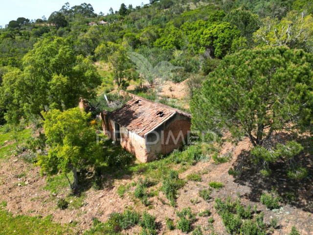 Propriedade com 20,8750 ha a 18 Km da Zambujeira do Mar