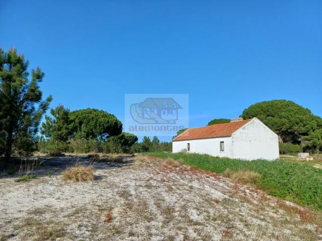 Propriedade com 25 hectares e ruína para reabilitar a meio caminho entre Comporta e Melides