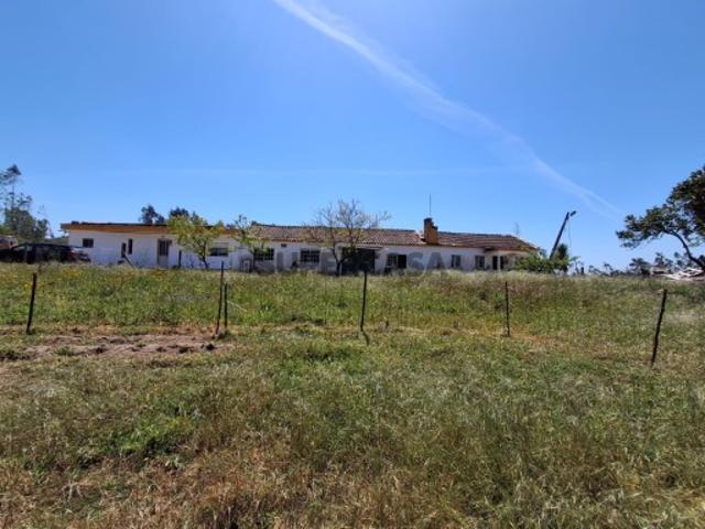 Propriedade com 7700m2 com Potencial de Rentabilidade, próximo de Leiria
