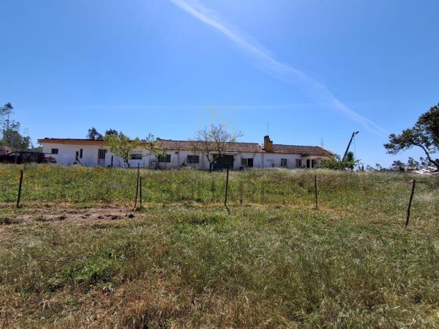 Propriedade com 7700m2 com Potencial de Rentabilidade, próximo de Leiria