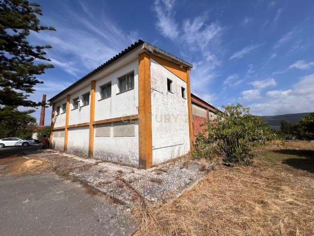 Pavilhão com grande potencial industrial/comercial junto à estrada principal em Albergaria – Juncal