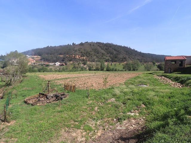 Propriedade com Potencial Único junto à Vila de Arganil