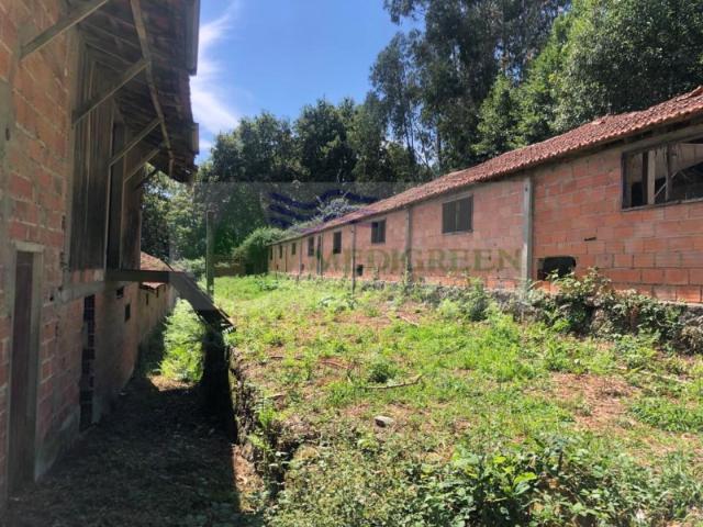 PROPRIEDADE COM TRÊS AVIÁRIOS | CEDRIM EM SEVER DO VOUGA