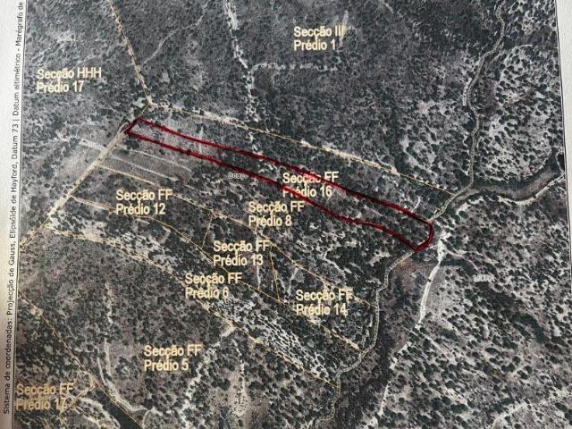 Propriedade de 7,500 ha em Couço Coruche | 26084022963