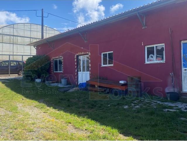 Propriedade de 8 Hectares com Elevado Potencial de Rentabilidade Olho Marinho