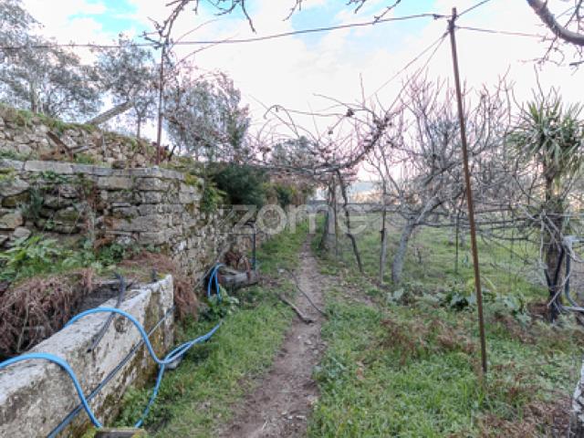 Uma Propriedade, Mil Possibilidades: no Coração de Cinfães do Douro