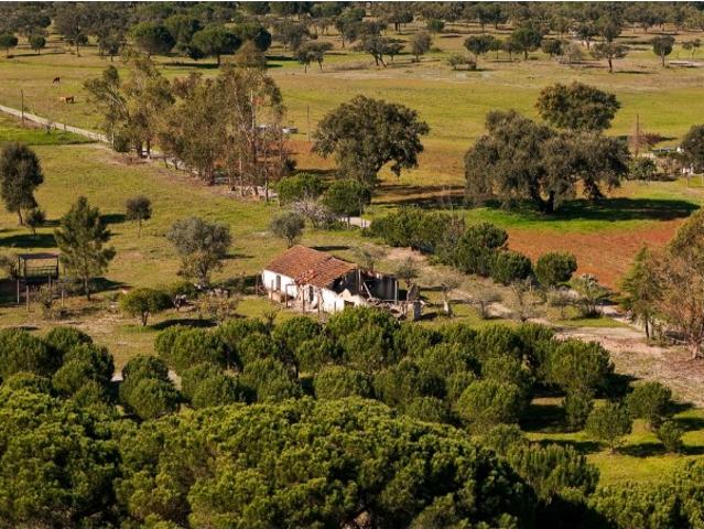 Propriedade em Grândola de 6,8ha com Projeto Aprovado