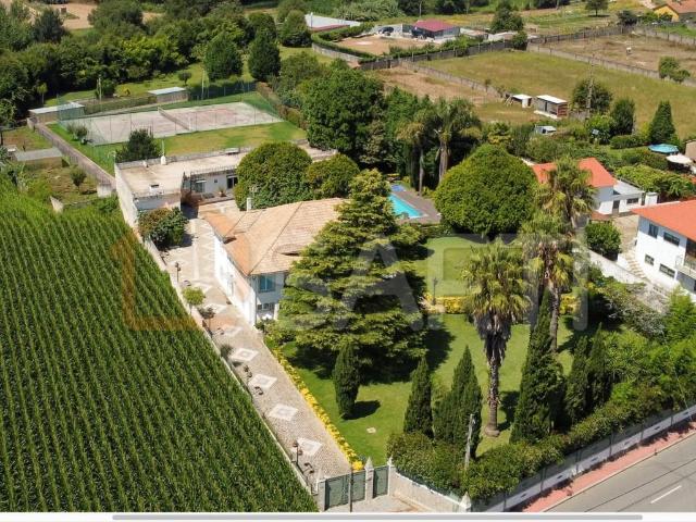 Quinta em Ovar com 10.000 m2 de conforto e privacidade 0m² Ovar, São João, Arada e São Vicente de Pereira Jusã