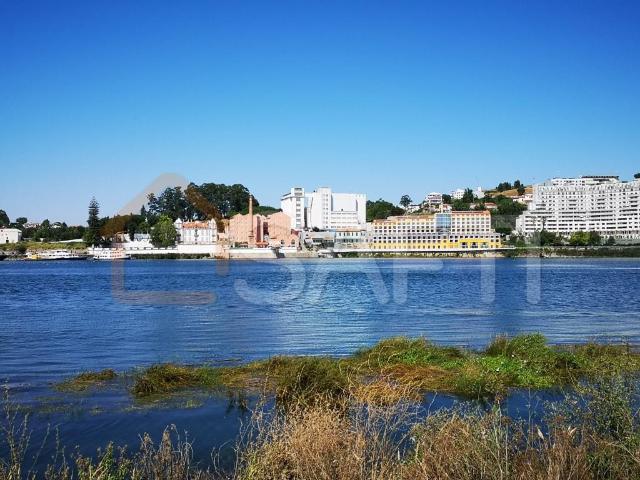 Propriedade em primeira ligna de rio com fortissimo potencia. 0m² Oliveira do douro
