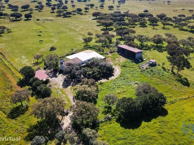 Propriedade em Santiago do Escoural de 450000,00 m2