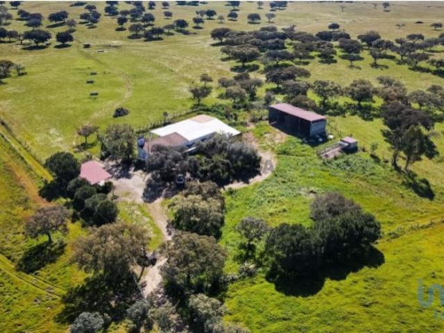 Propriedade em Santiago do Escoural de 450000,00 m²