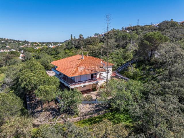 Propriedade Excecional com Elevado Potencial de Investimento perto de São Brás de Alportel