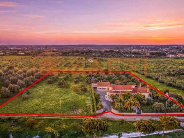 Propriedade Exclusiva com Duas Moradias e Grande Potencial e. 686m² Cartaxo e Vale da Pinta