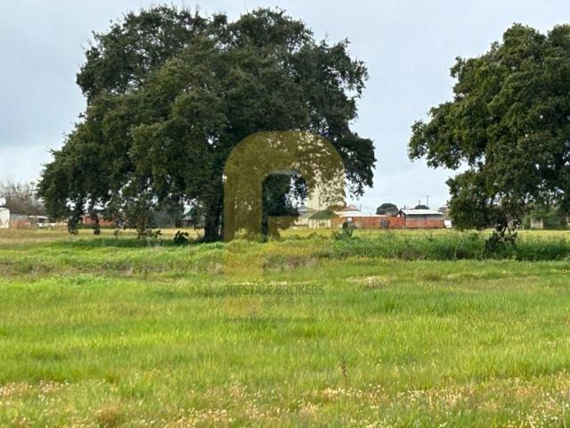 Propriedade Exclusiva de 4 Hectares no Montijo: Oportunidade de Investimento Única!